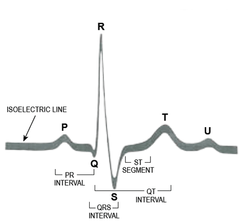 Course Content - #90372: Clinical Management of Ventricular Arrhythmias ...